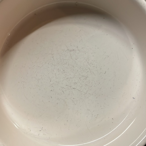 Rae Dunn Purr pet Dish magenta artisan collection - Picture 3 of 6